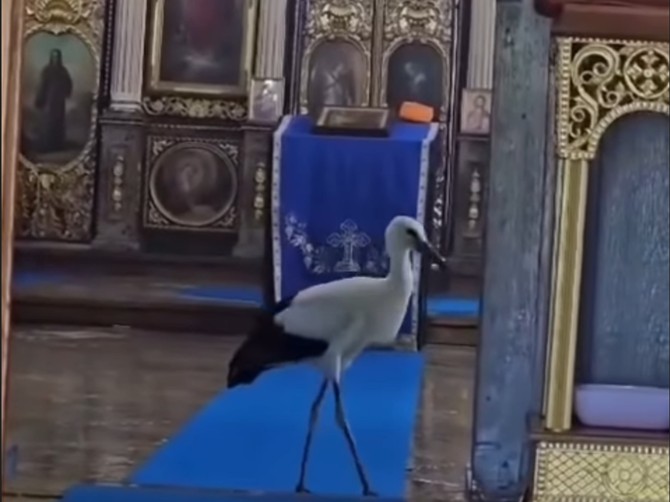 Roda ušla u hram u Idvoru