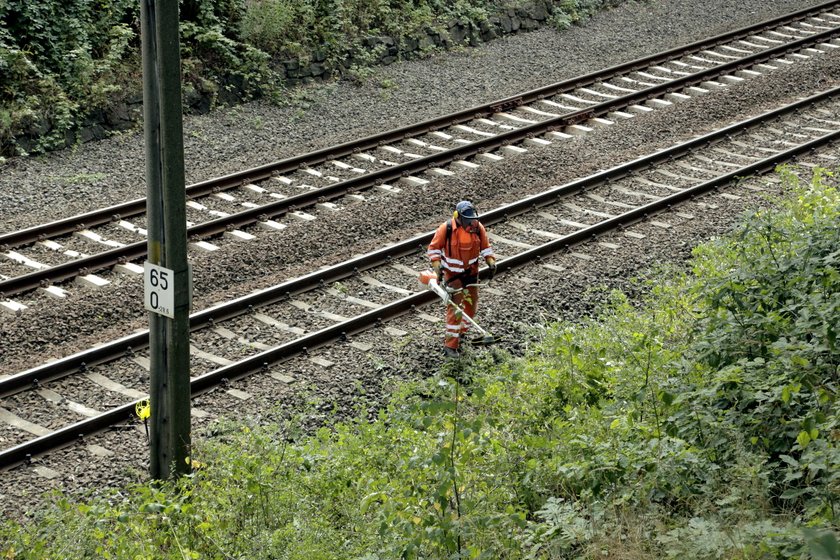 oczyszczanie terenu na 65. kilometrze trasy kolejowej Wrocław-Wałbrzych