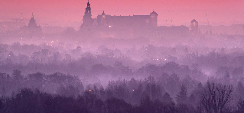 W mózgach dzieci i młodych ludzi wykryto cząsteczki smogu, które mogą powodować Alzheimera