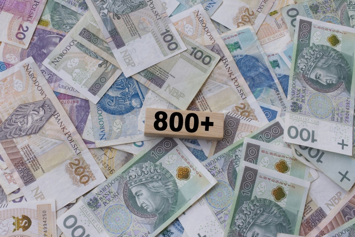 Harmonogram wypłat 800 plus. Nowe terminy w styczniu 2025 roku