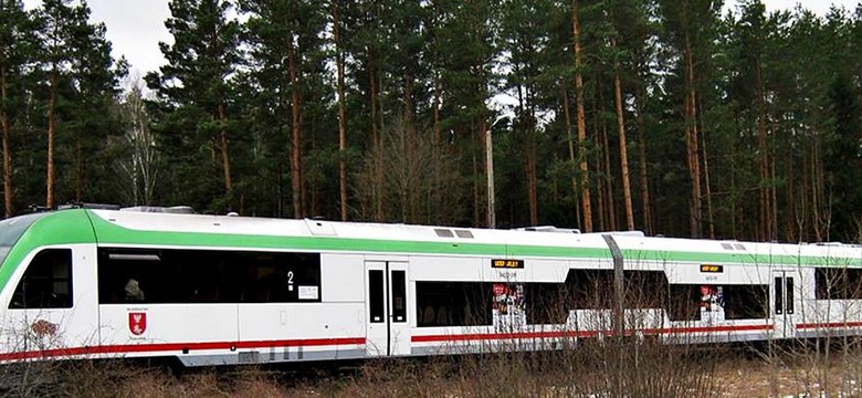 Pociągi z Białegostoku do Puszczy Knyszyńskiej od połowy czerwca