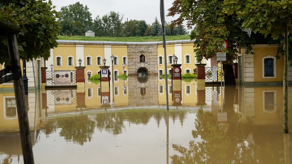 Smutna relacja dyrektorki szkoły z Nysy. Dzieci nie mają do czego wracać