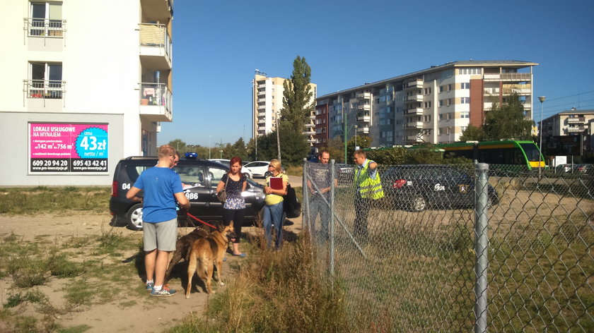 Strażnicy miejscy skontrolowali wybiegi dla psów