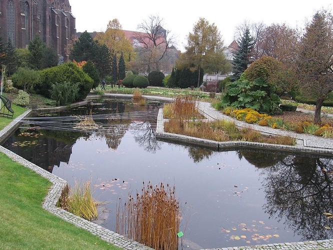 Ogród botaniczny – założony w 1811 roku na terenie Ostrowa Tumskiego. Jest drugim po Ogrodzie Botanicznym w Krakowie najstarszym tego typu ogrodem w Polsce. Obecnie obszar Ogrodu obejmuje 7,4 ha (i 0,33 ha pod szkłem) i znajduje się w nim około 7,5 tysiąca gatunków roślin (licząc różne ich odmiany liczba ta sięga 11,5 tysiąca) szklarniowych i gruntowych.