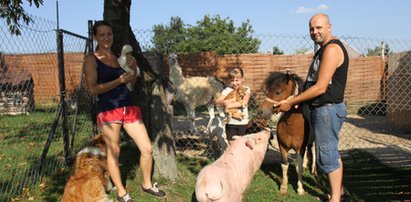 Zakochani w zwierzętach. W domu mają zoo