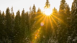 Temperatura wystrzeli do 15°C. Po ciepłych dniach przyjdzie śnieżny paraliż