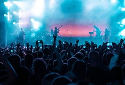 Koncert poświęcony Pawłowi "Kelnerowi" Rozwadowskiemu podczas festiwalu Rock Na Bagnie