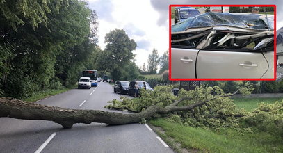 Dramat na Kaszubach. Potężny konar runął na osobówkę