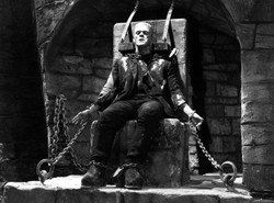 Chciałabyś mieć nerkę od mordercy?