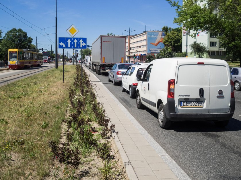 Schną drzewa i krzewy, które miały zdobić Łódź