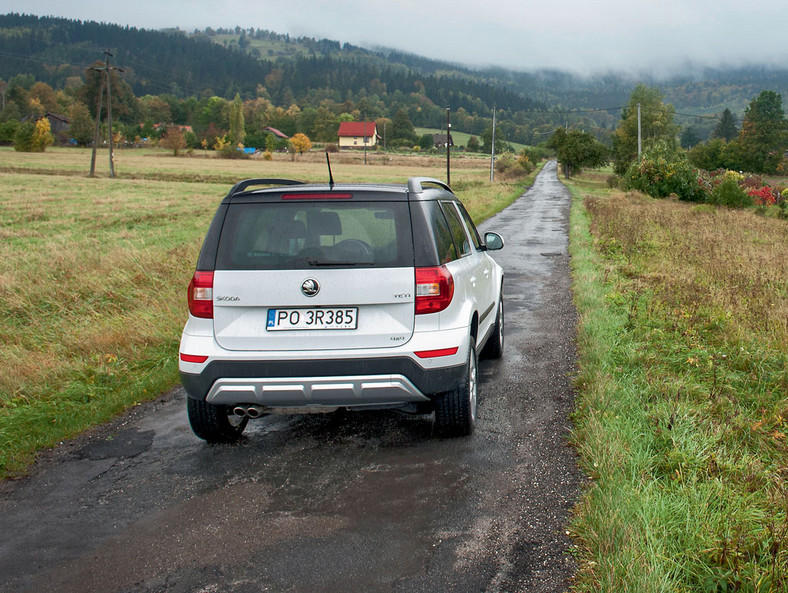 Yeti wraca w góry - czyli, życie daleko od zgiełku