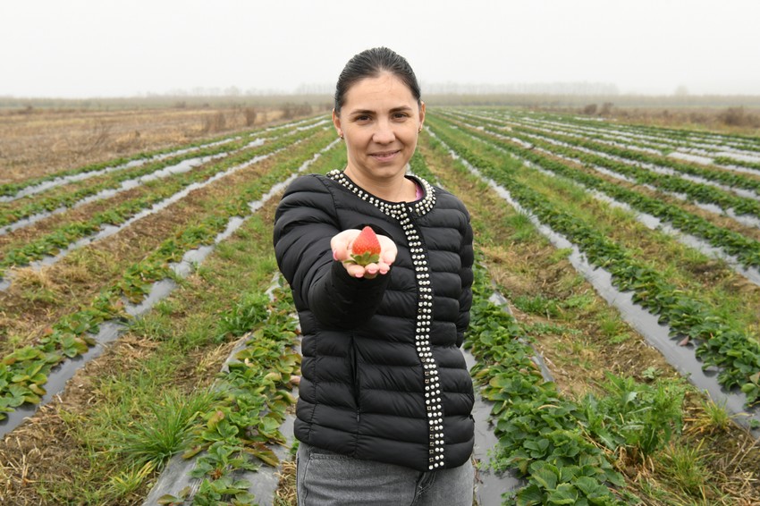 Blic poljoprivrednik