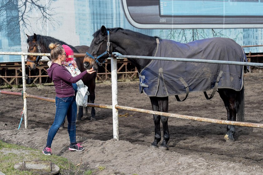 Anna Powierza z córką w stadninie konnej