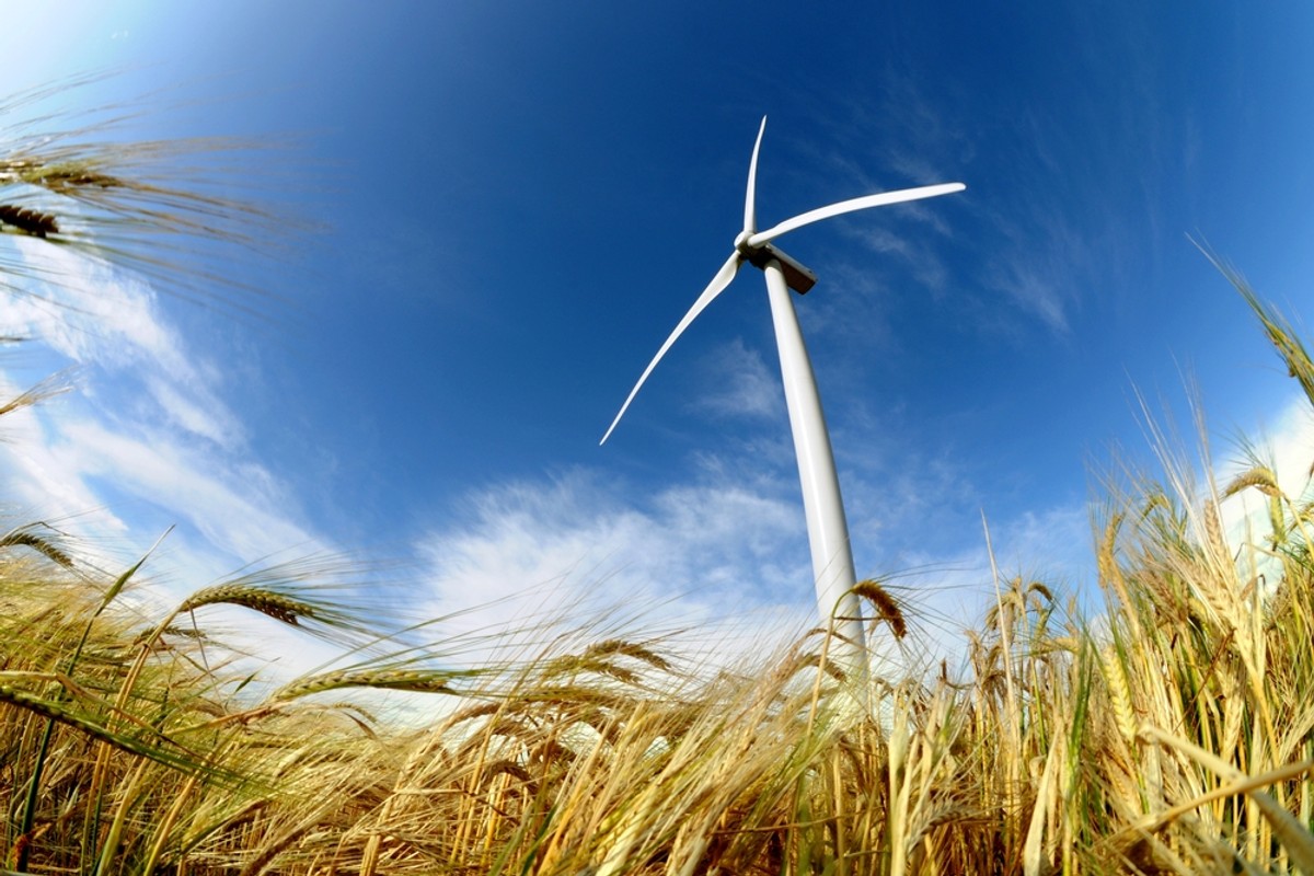 Jak wylicza Polskie Stowarzyszenie Energetyki Wiatrowej, w ten sektor zainwestowano w Polsce ponad 32 mld zł, a banki udzieliły kredytów na ponad 12 mld zł