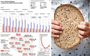 Pieniądze z UE nie obniżyły wskaźnika zagrożenia skrajnym ubóstwem w Polsce