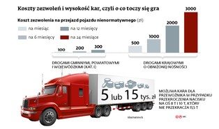 Ciężki polski problem w TSUE. Naruszyliśmy dyrektywę w sprawie nośności dróg?