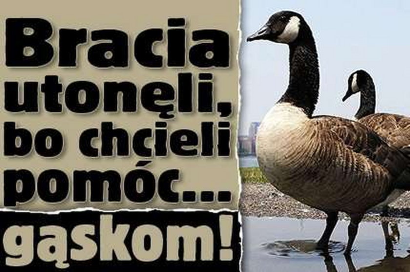 Bracia utonęli, bo chcieli pomóc... gąskom!