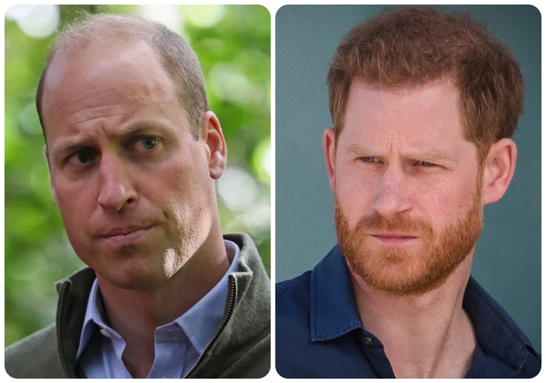 Princ Vilijam i princ Hari