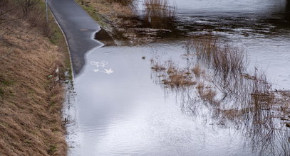 Poziomy wód w polskich rzekach nadal wzrastają. Nadchodzi powódź?