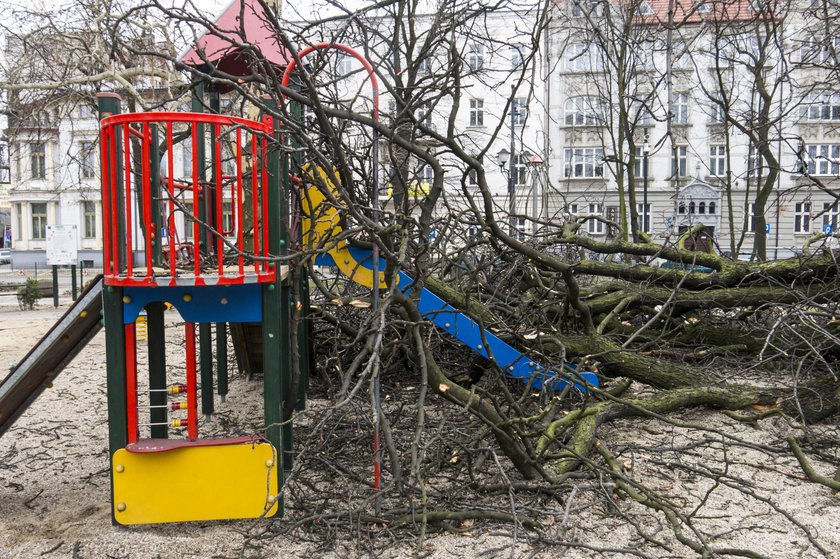 Skutki silnych wichur nad województwem śląskim