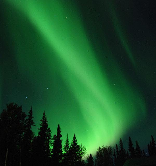 Galeria USA - Alaska - Park Narodowy Wrót Arktyki, obrazek 20