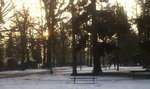 Zobaczcie Park Oliwski zimą! 