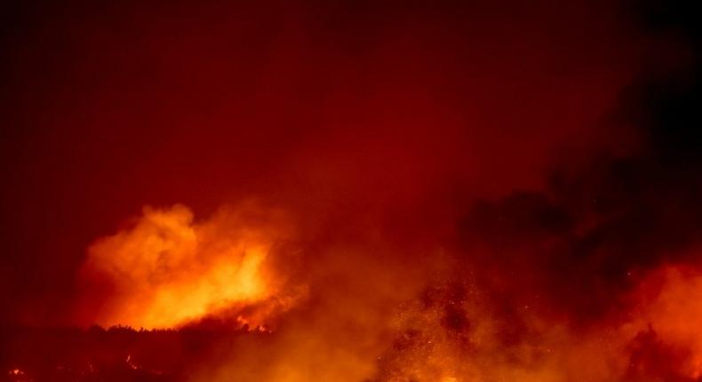 A wildfire burns in the forest surrounding Macao, central Portugal, on July 26, 2017