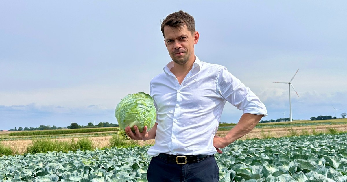 Kołodziejczak bez ogródek o kryzysie na polskiej wsi. "Daje ministerstwu jeszcze kilka dni"