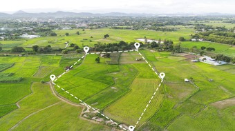 Zakup gruntów rolnych bez PCC? Większość sporów fiskus przegrywa