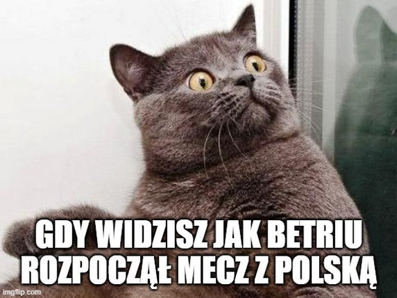 Memy po meczu Andora - Polska