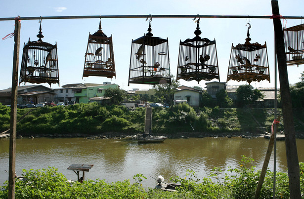 Malezyjskie klatki z ptakami wiszące nad rzeką Golok, przy granicy z Tajlandią