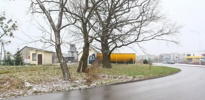 Zamiast bloków potrzebny jest park