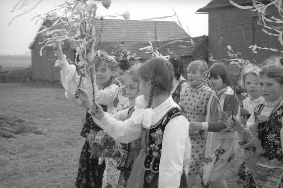 Dziewczynki w strojach góralskich niosą udekorowane gałązki przez wieś (NAC, domena publiczna, sygnatura 3/53/0/6/341).