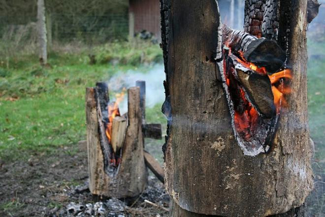 Ogród bardzo naturalny