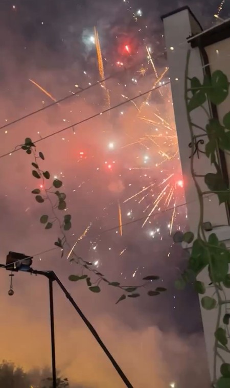 Ivana Korab i njen muž slave sinovima rođenda