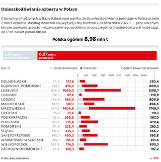Unieszkodliwianie azbestu w Polsce