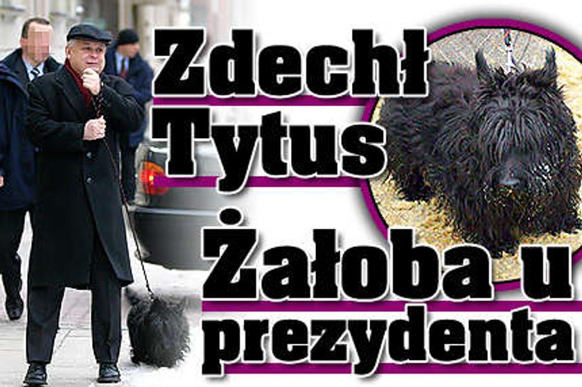 Żałoba u prezydenta! Zdechł Tytus