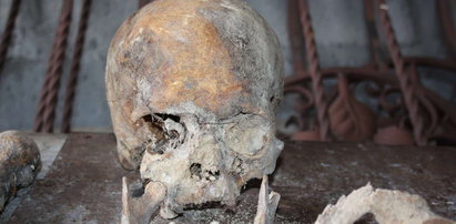 Szkielet człowieka znaleziony w Bytomiu, to ofiara epidemii cholery?