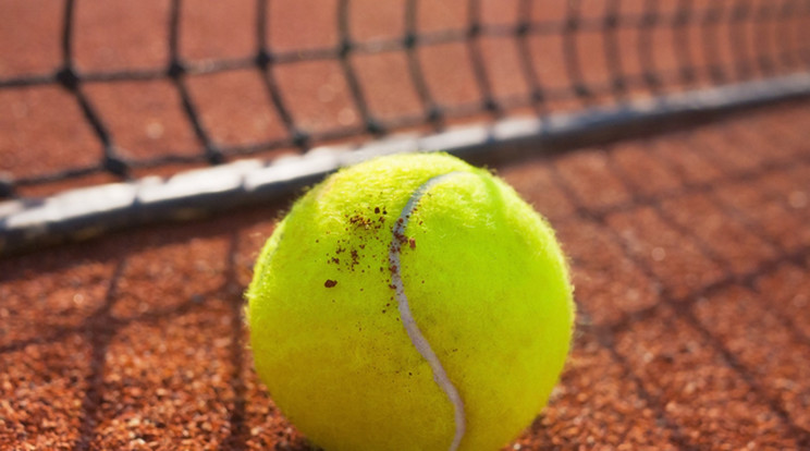 Hatalmas támogatást ad a kormány a teniszre/ Fotó: Northfoto