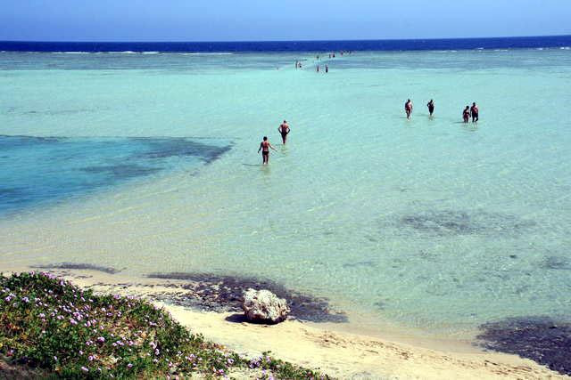 Galeria Egipt - Marsa Alam, obrazek 6