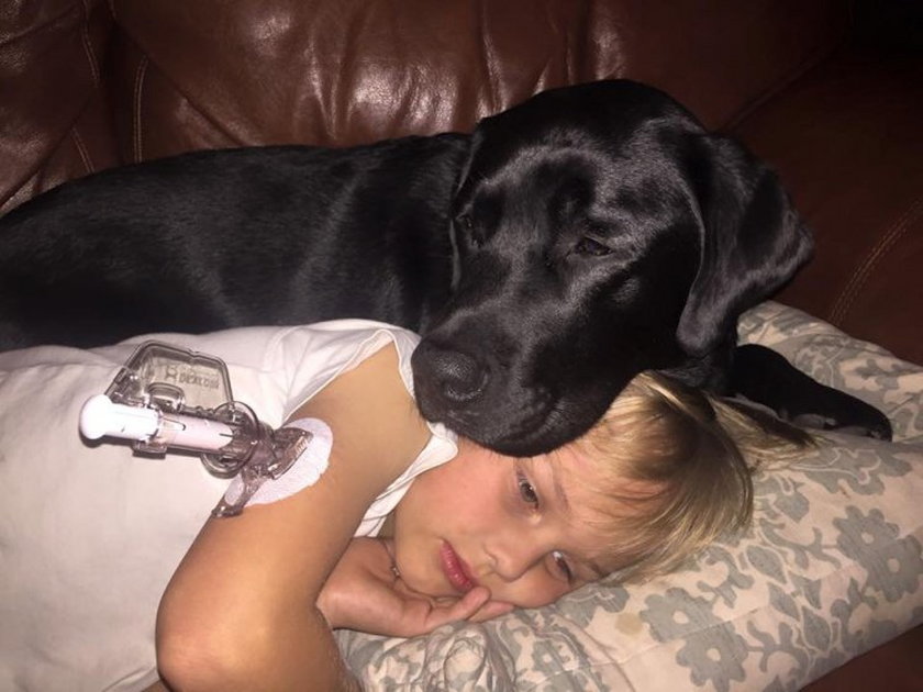 Pies uratował śpiącego chłopca