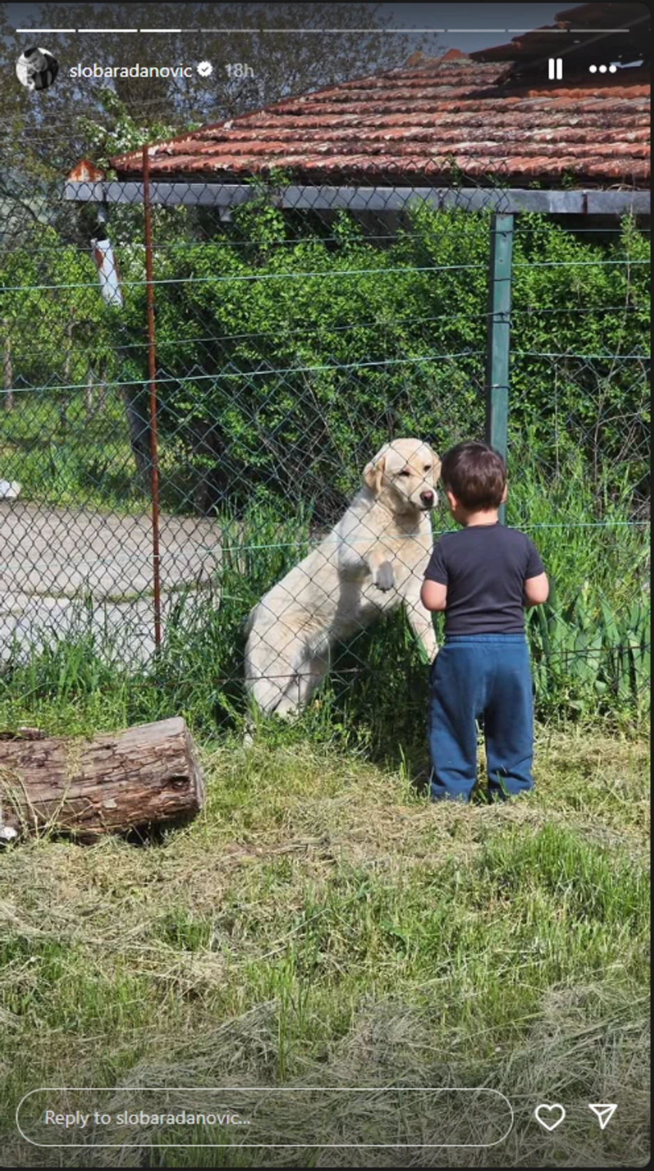 Sloba i Jelena Radanović u Slankamenu