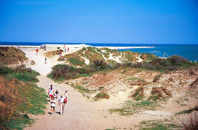 Galeria Dania - Skagen, obrazek 14