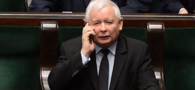 Jak spotkanie z prezesem PiS wpłynie na żubra? Idea repolonizacji została skompromitowana [OPINIA]