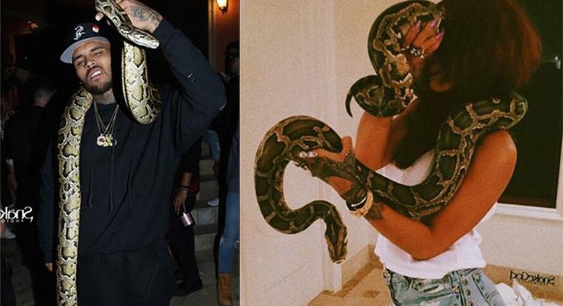 Different pictures showing the estranged lovers' playtime with the snakes at the party