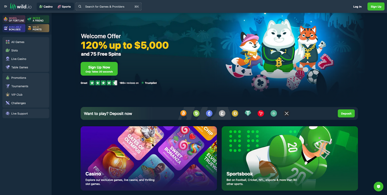 8. Wild.io - Best BTC Casino for a Loyalty Program