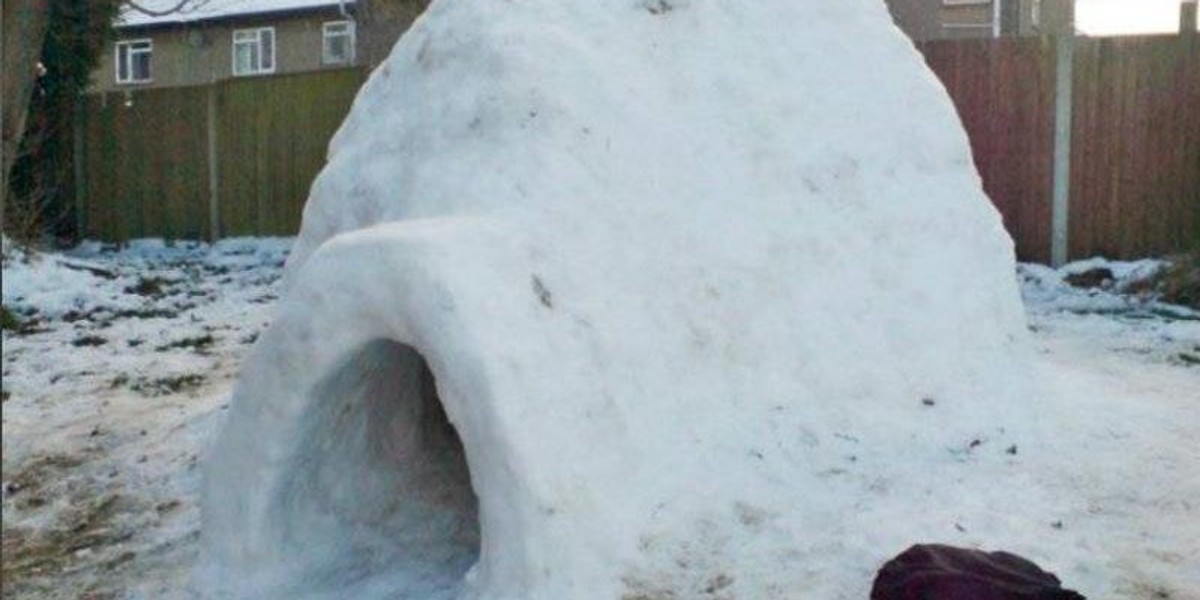 Igloo