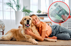 Dodatek emerytalny dla właścicieli psów. Wypłacają 124 zł więcej miesięcznie