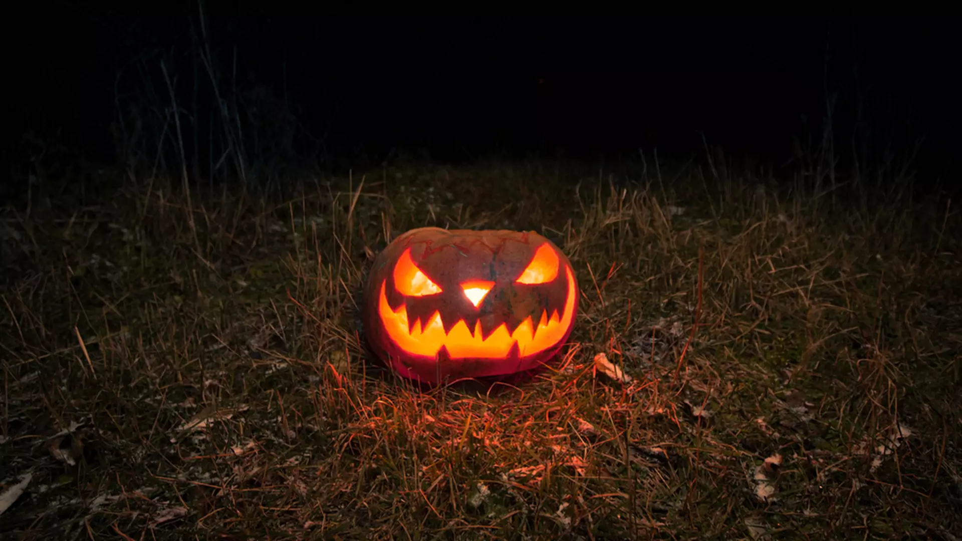Ksiądz zniszczył dzieciom dynie na Halloween. "Były symbolem satanistycznego święta"