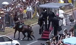 Policjantka spadła z konia. Co zrobił papież?